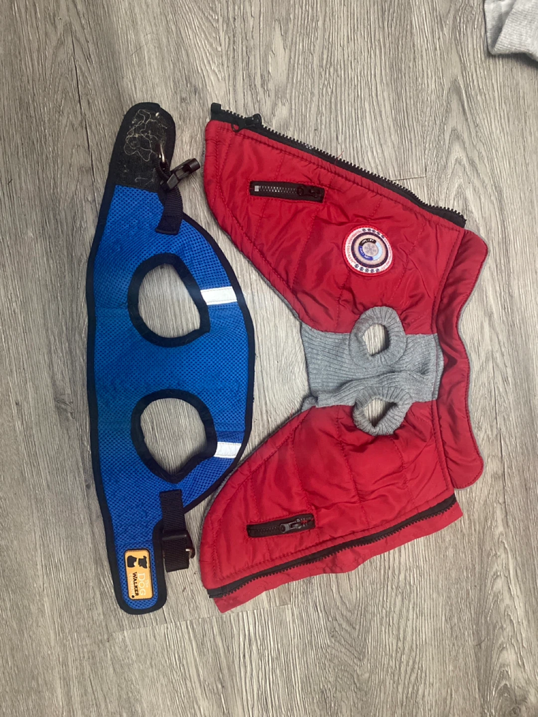 Dog Walker Harness & Red Dog Coat