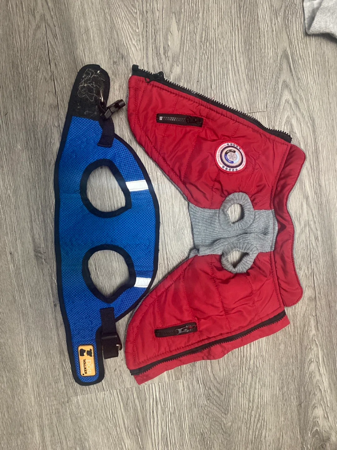 Dog Walker Harness & Red Dog Coat thumbnail