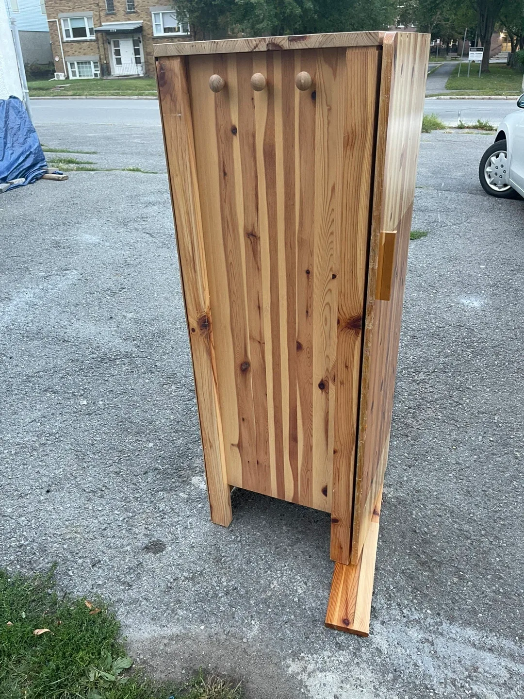 Wooden Cabinet with Shelves image indicator(4)
