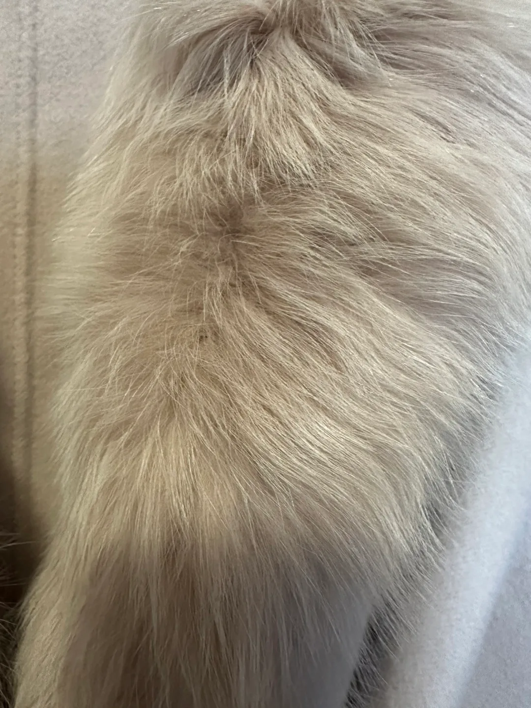 Wool Blend Coat with Fur Collar image indicator(2)