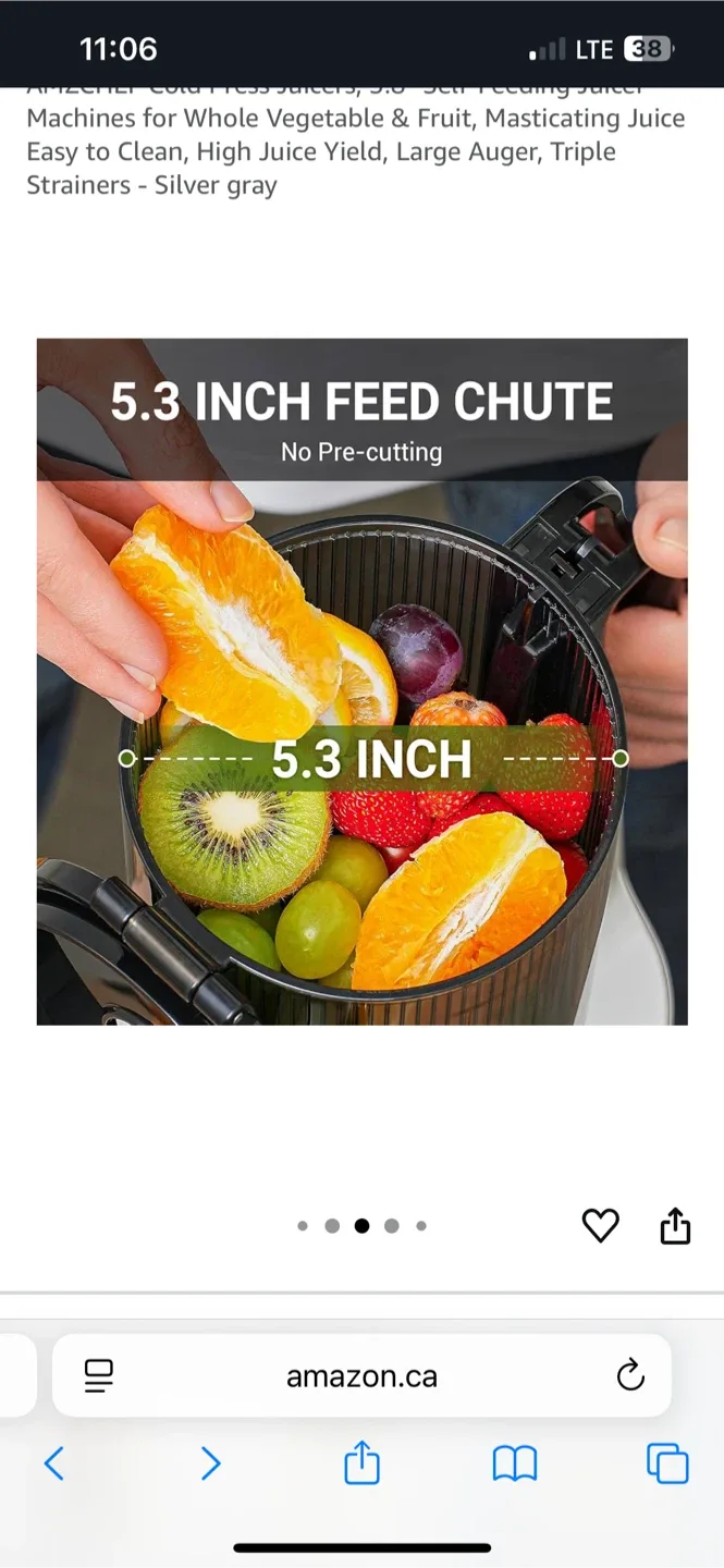 Amzchef Slow Juicer - Model SJ-036 image indicator(3)