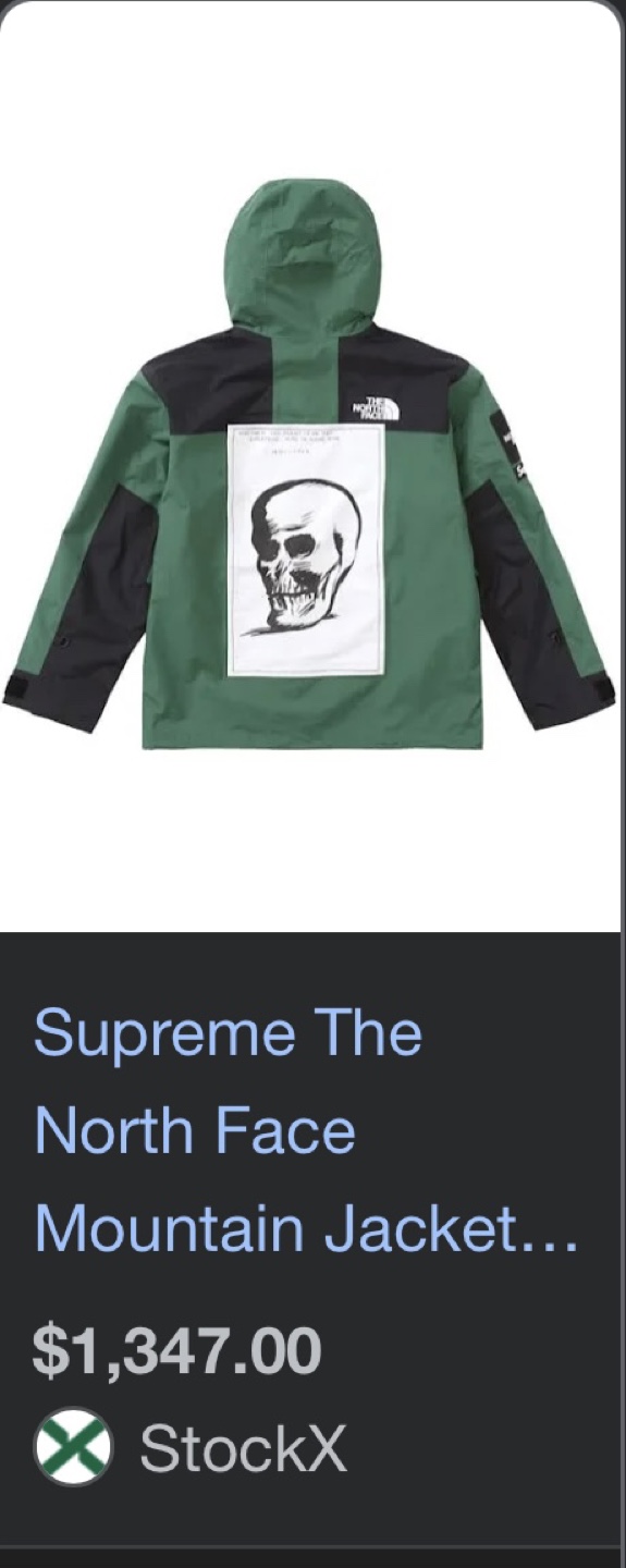 Supreme X The North Face Jacket - photo 4