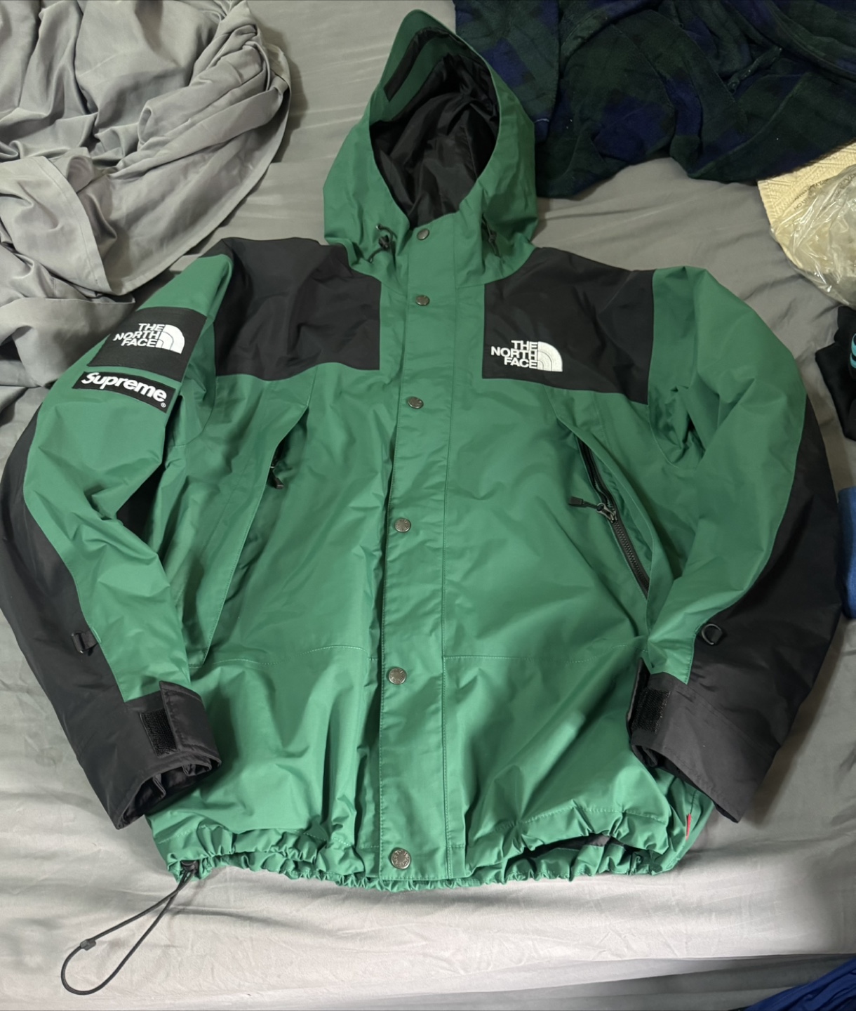 Supreme X The North Face Jacket - photo 3