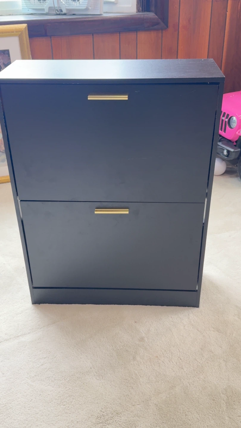 Black Shoe Storage Cabinet