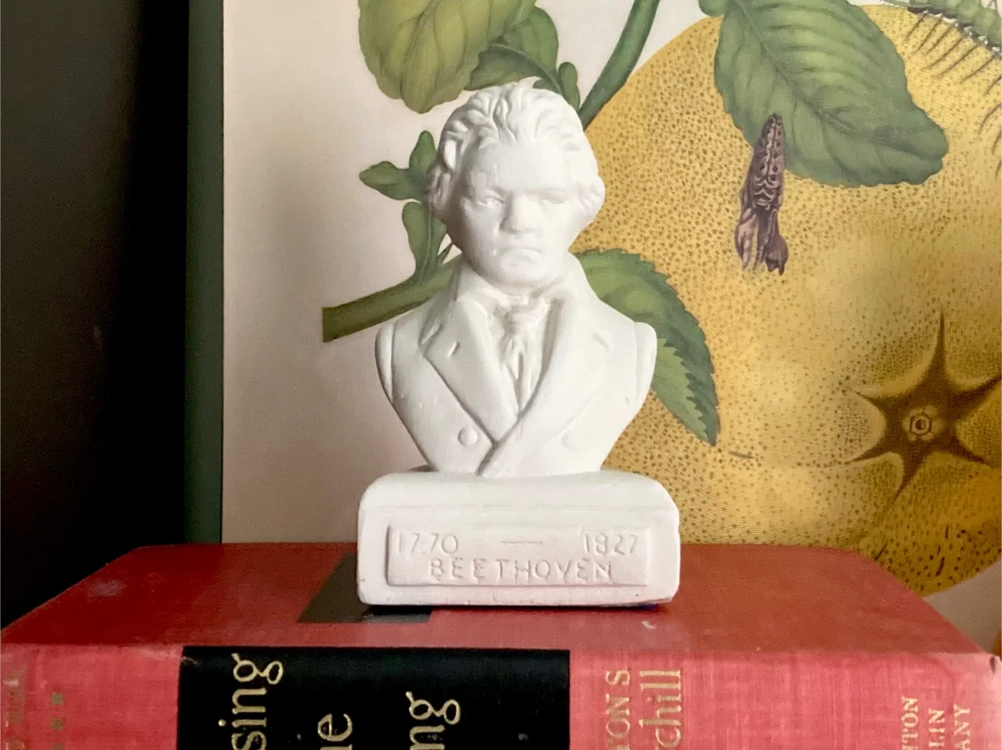 Beethoven Bust thumbnail