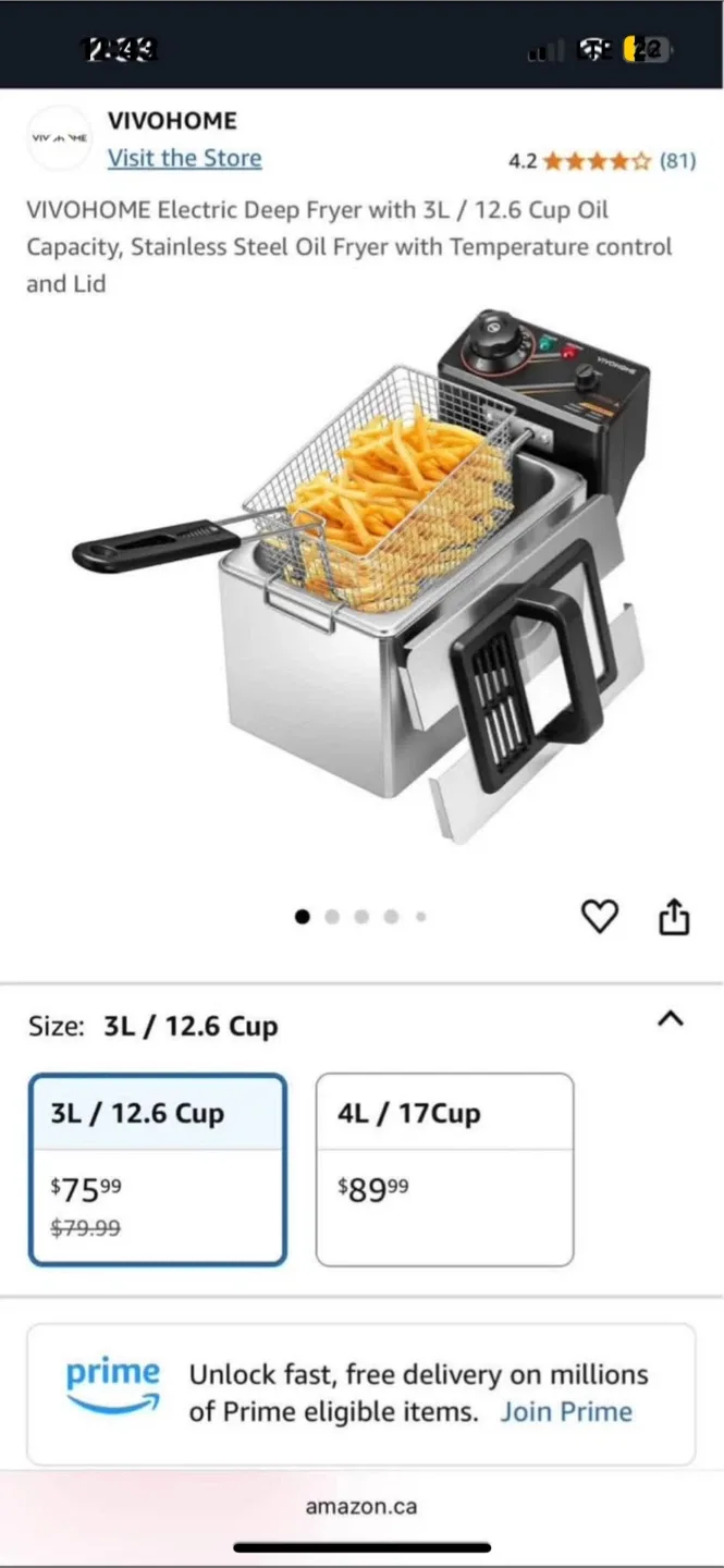 VIVOHOME Electric Deep Fryer 3L - New in Box! thumbnail
