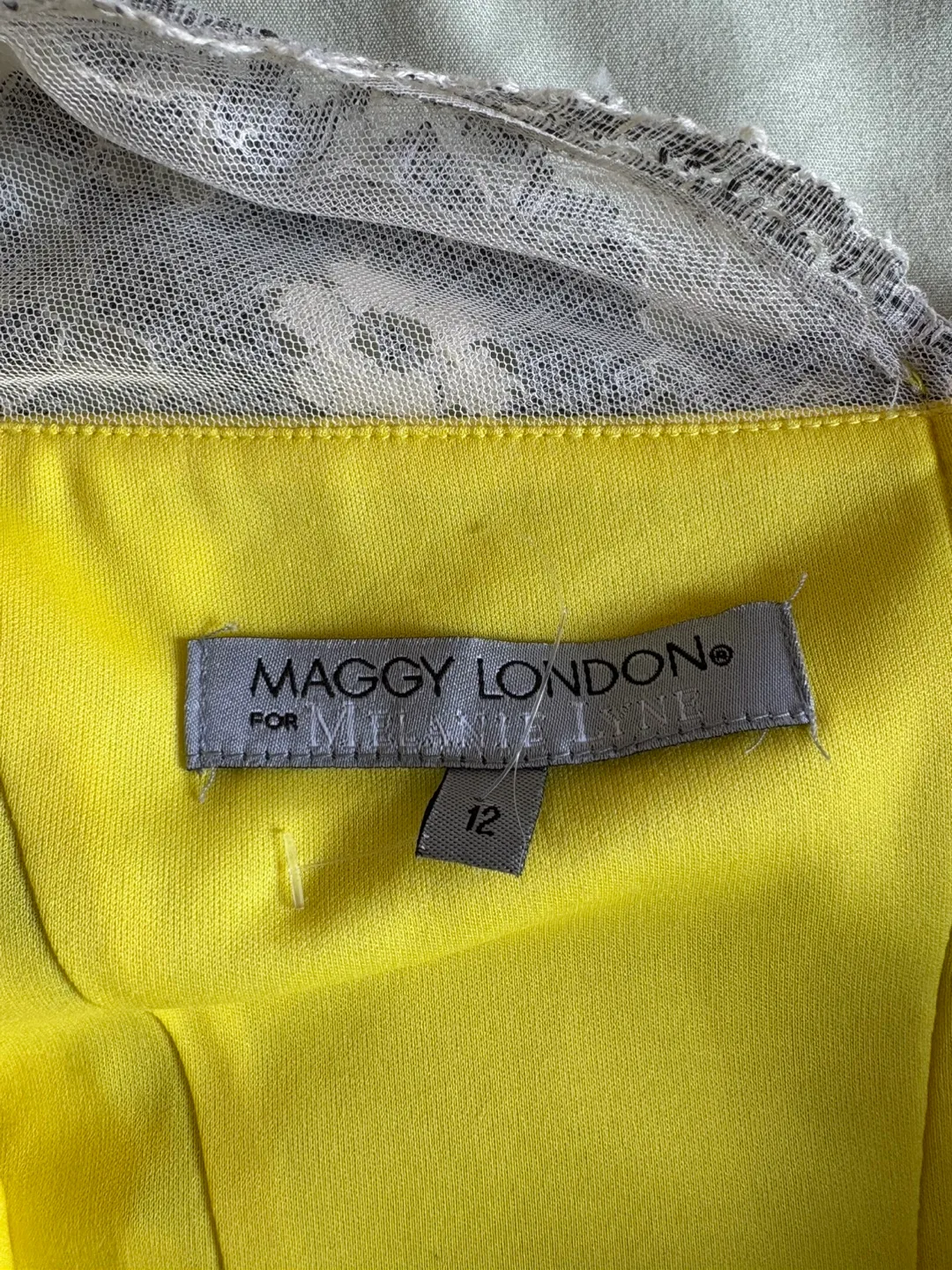 Maggy London for Melanie Lyne Dress - Size 12 image indicator(3)