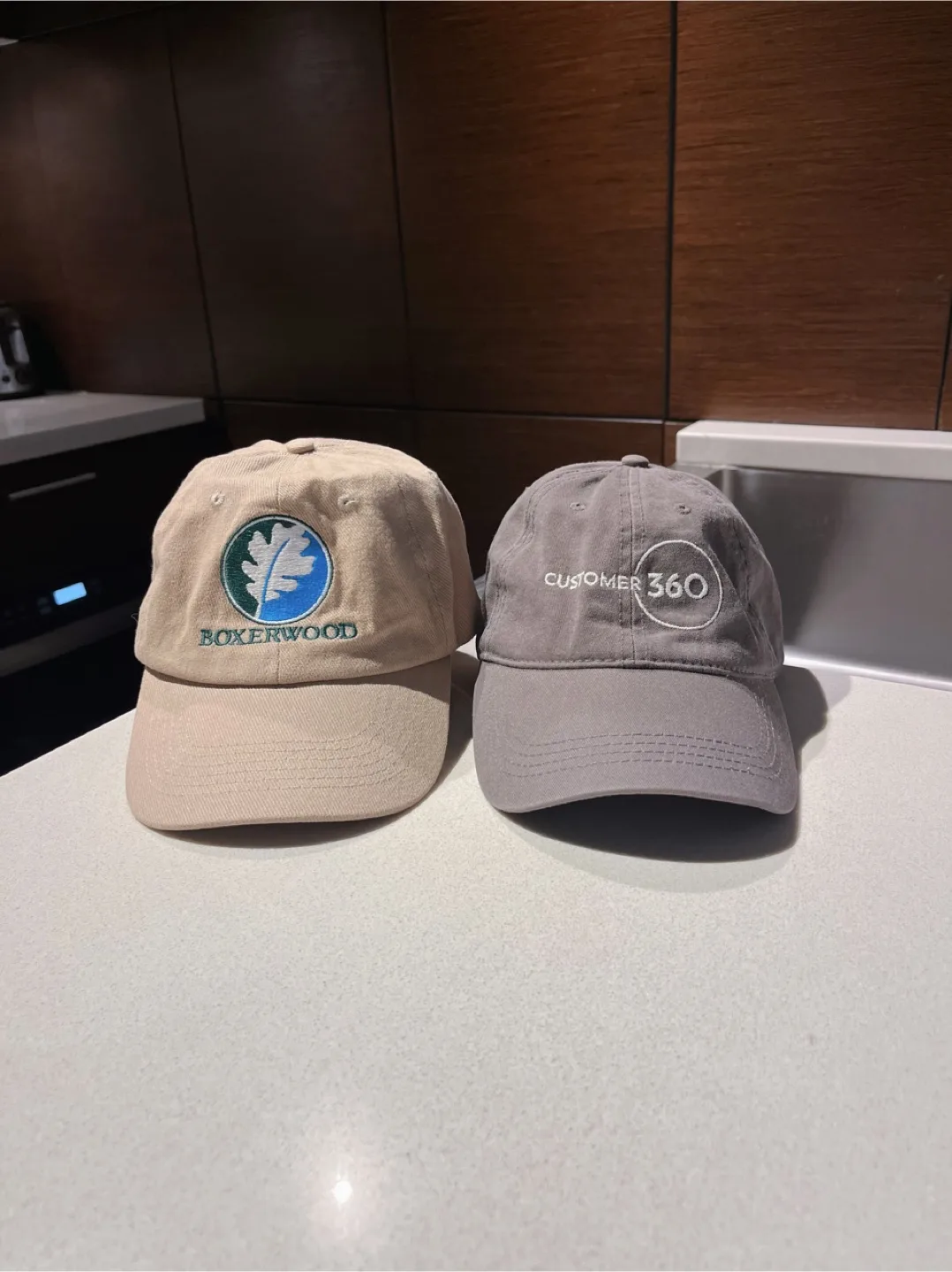 Two Branded Baseball Caps-One size fits all thumbnail