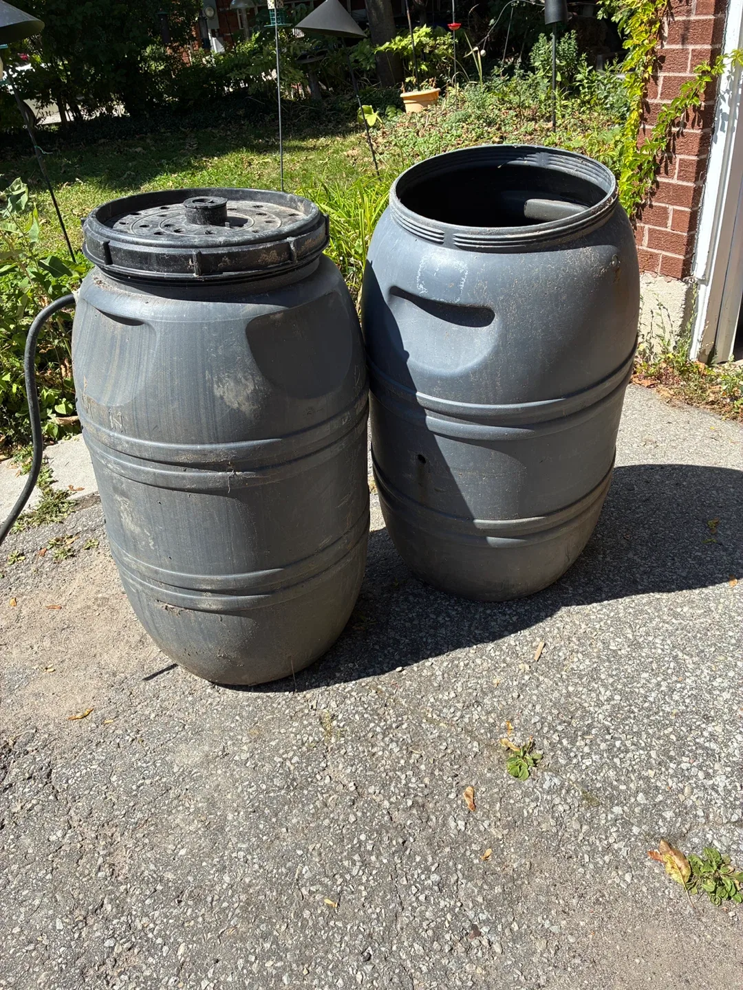 Two Rain Barrels thumbnail