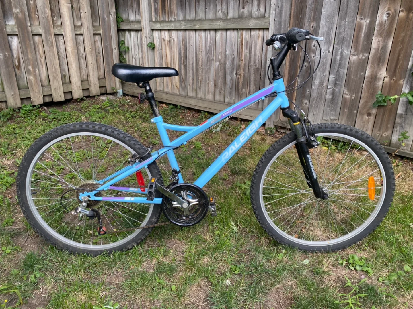 Raleigh Mountain Bike - Light Blue image indicator(2)