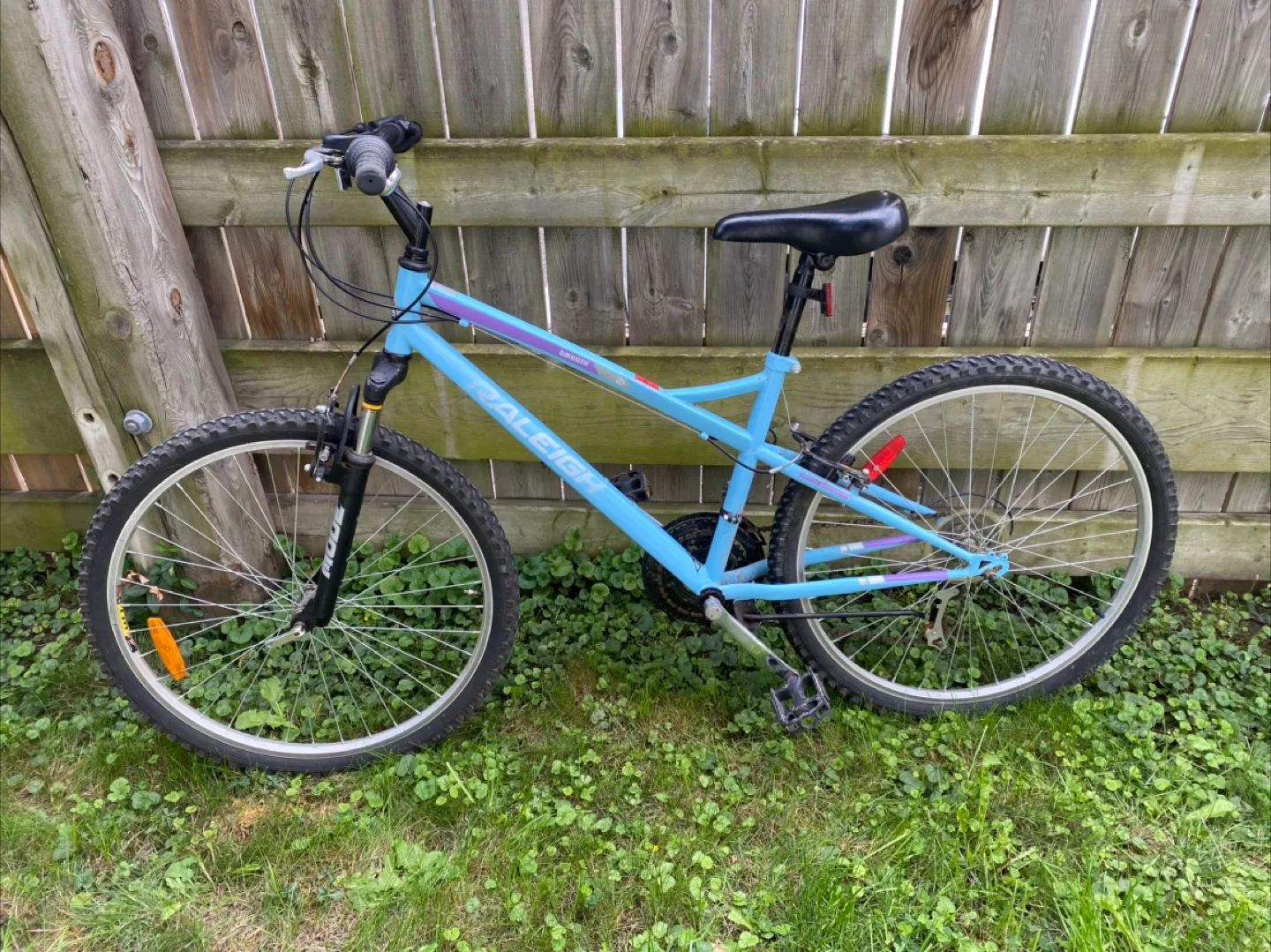 Raleigh Mountain Bike - Light Blue image indicator(3)