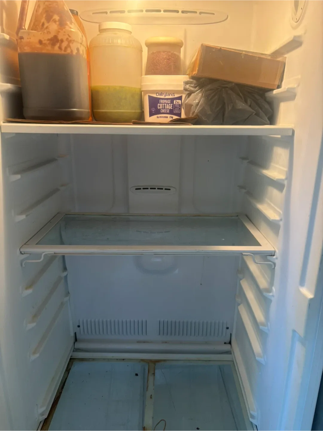 Danby Designer Upright  refrigerator - White image indicator(4)