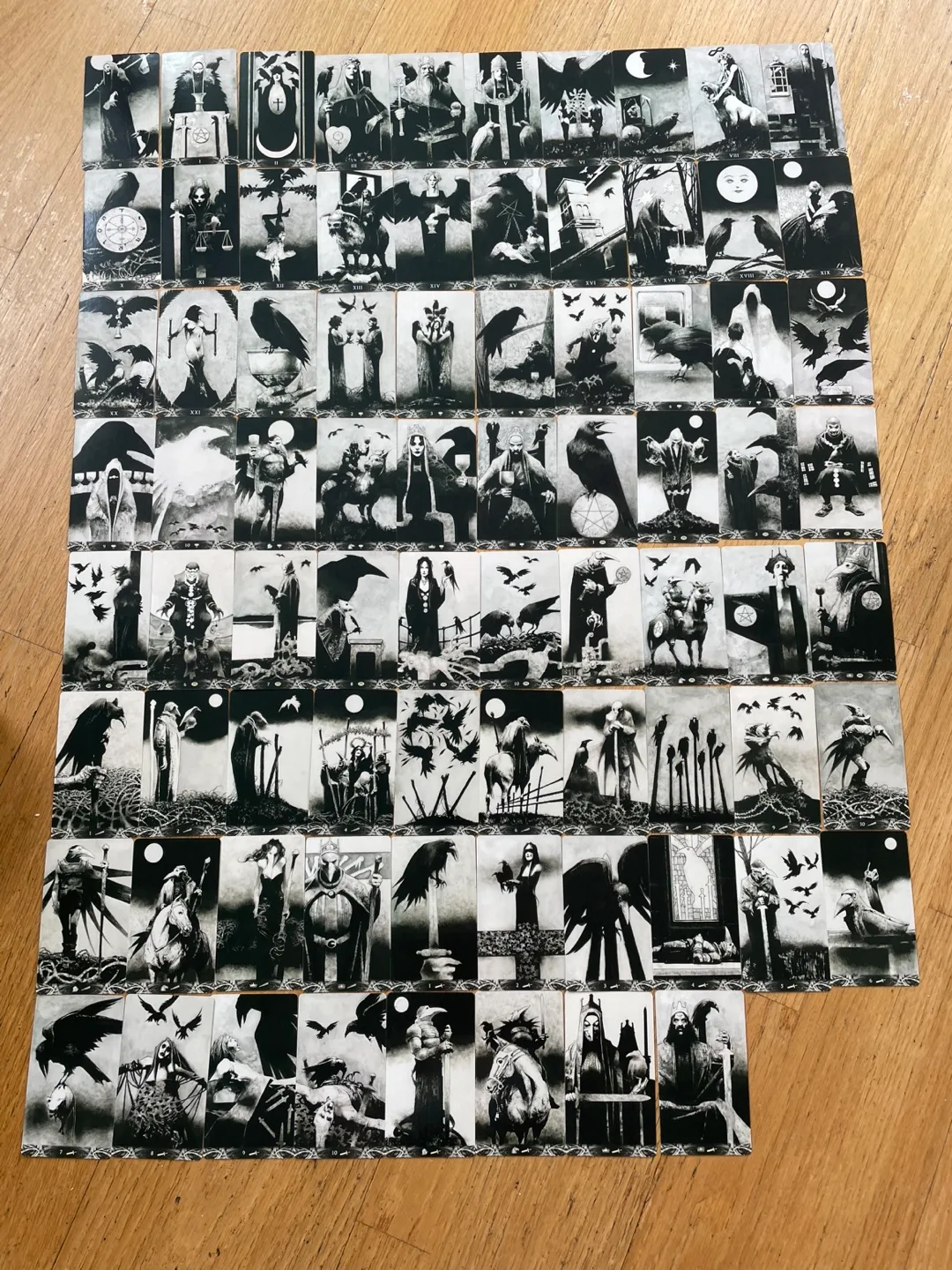 Murder of Crows Tarot (Brand New) image indicator(3)