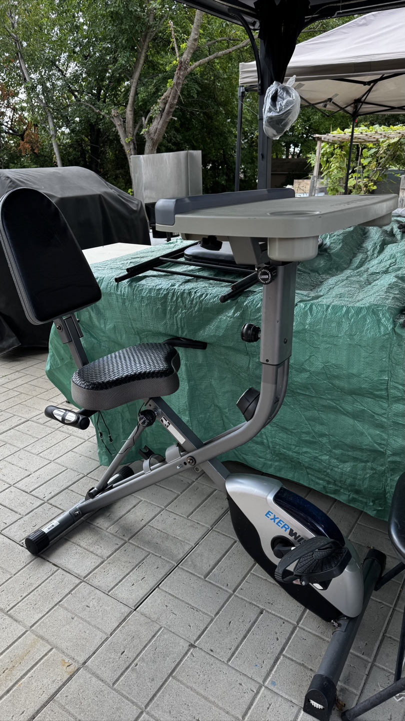Exerwork Recumbent Exercise Bike with Desk
