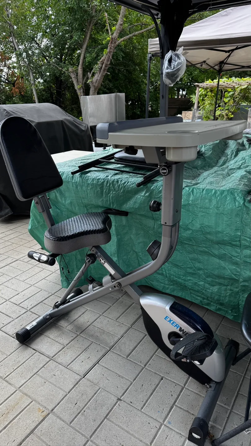 Exerwork Recumbent Exercise Bike with Desk thumbnail