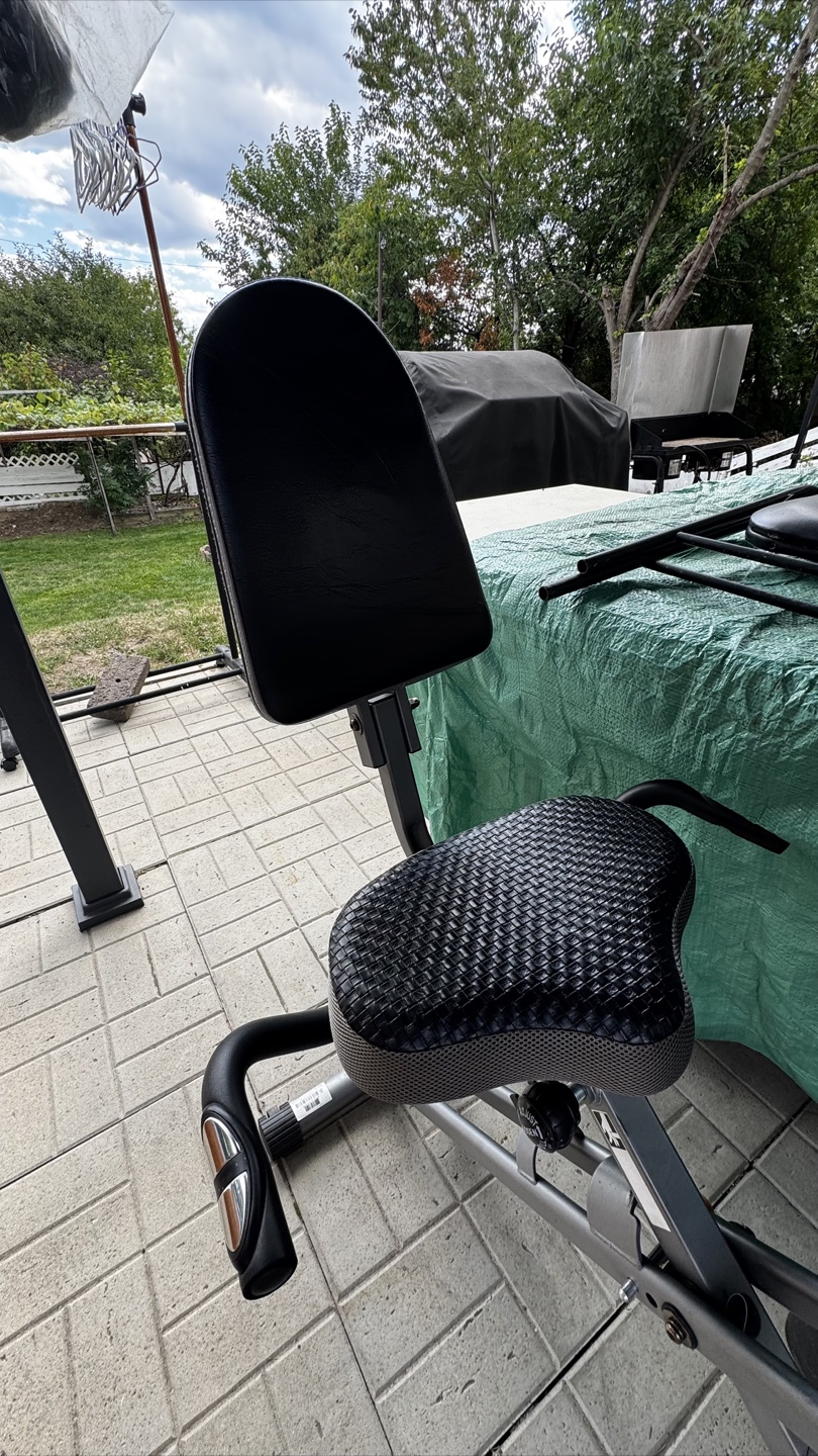Exerwork Recumbent Exercise Bike with Desk - photo 3