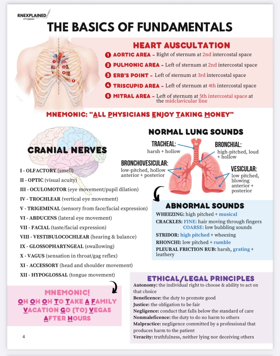 Nursing School Comprehensive Bundle image indicator(5)
