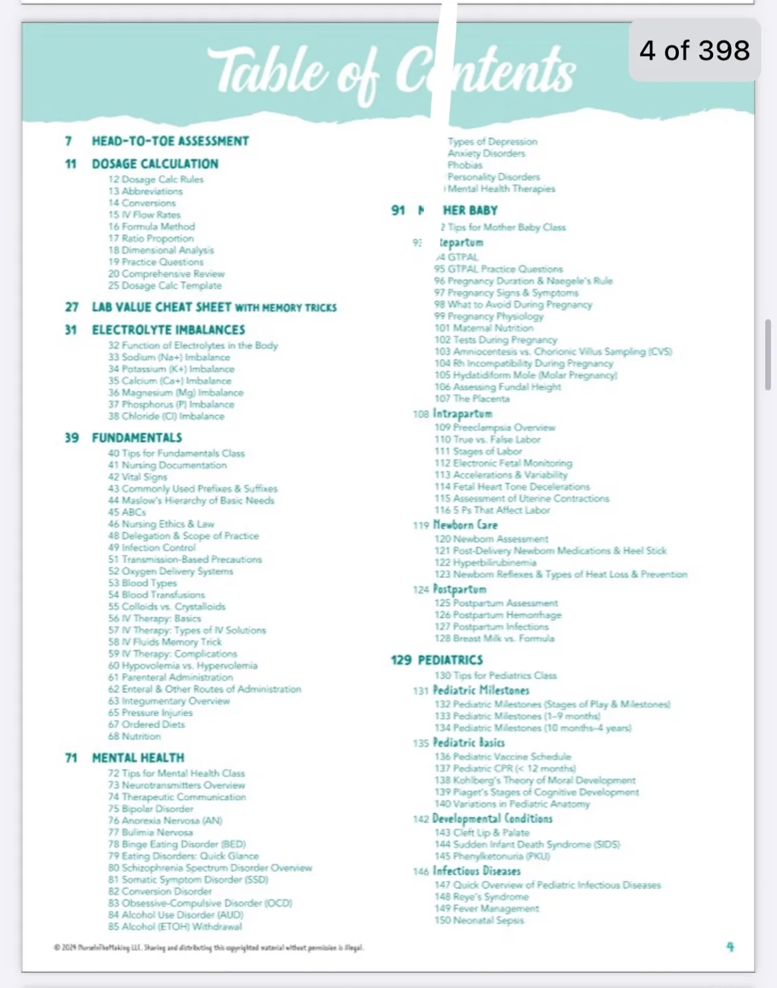 The Complete Nursing School Bundle 2025 Edition image indicator(2)