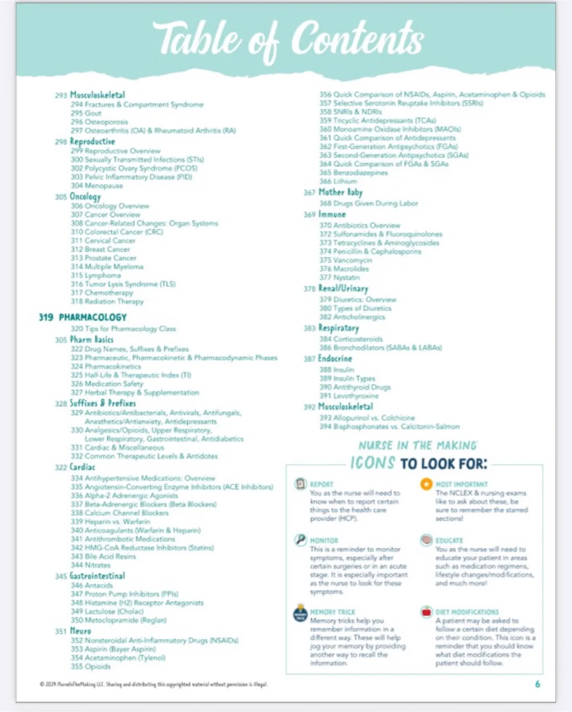 The Complete Nursing School Bundle 2025 Edition image indicator(4)