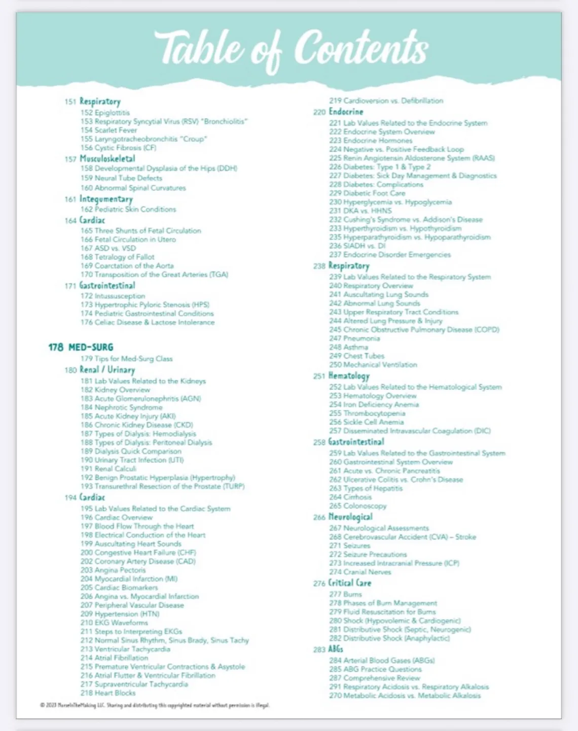 The Complete Nursing School Bundle 2025 Edition image indicator(3)