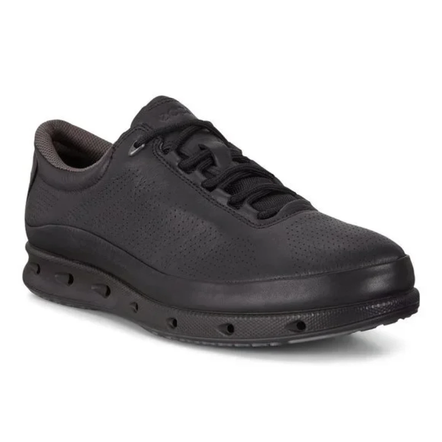 Ecco Gore-Tex Surround Black Shoes