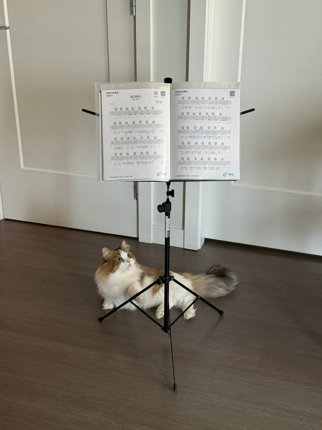 Bellevue American Music Stand w/ Carrying Bag thumbnail