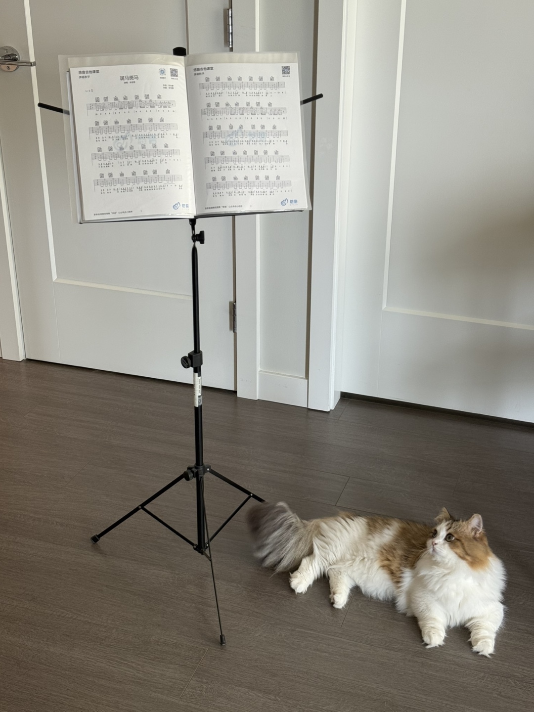 Bellevue American Music Stand w/ Carrying Bag - photo 4