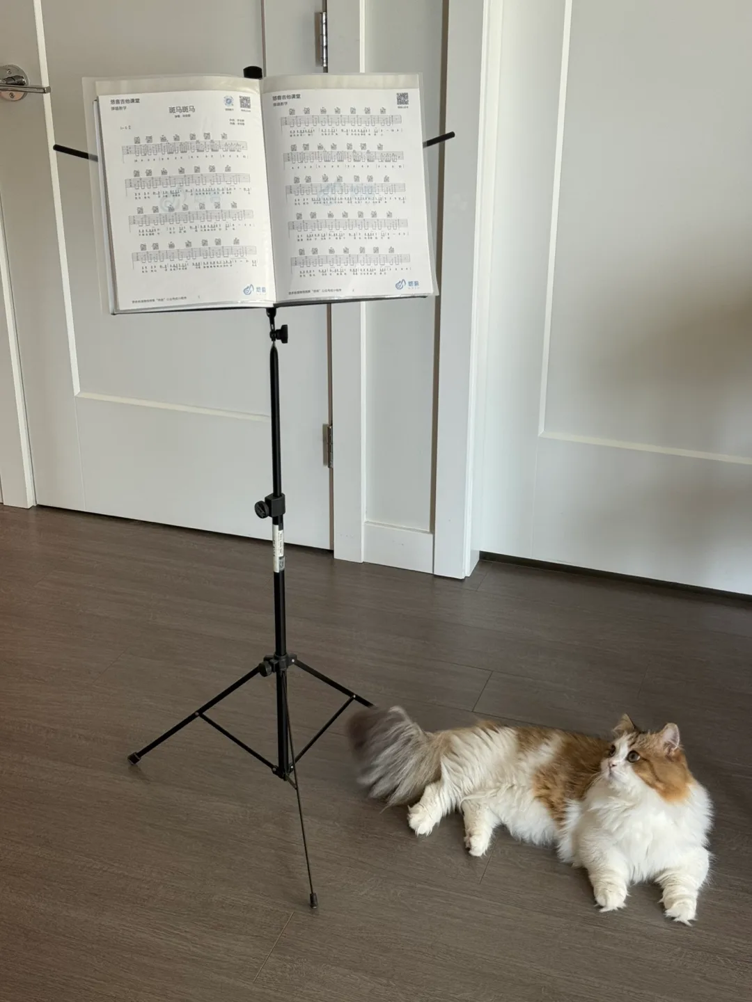 Bellevue American Music Stand w/ Carrying Bag image indicator(4)