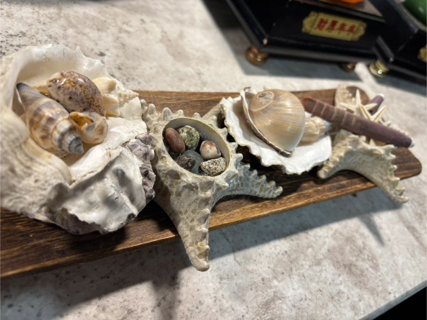 Cute seashell decoration - photo 2