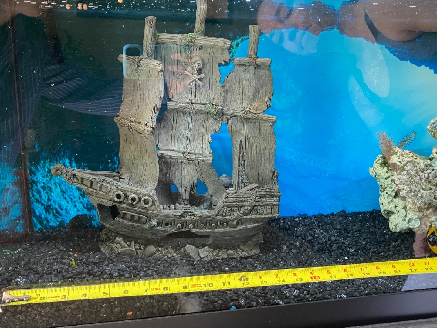 Aquarium Decorations - Pirate Ship & Coral 🥕 thumbnail