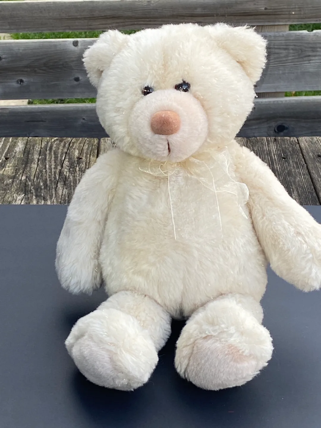 Gund Cream Plush Teddy Bear 🥕 image indicator(5)