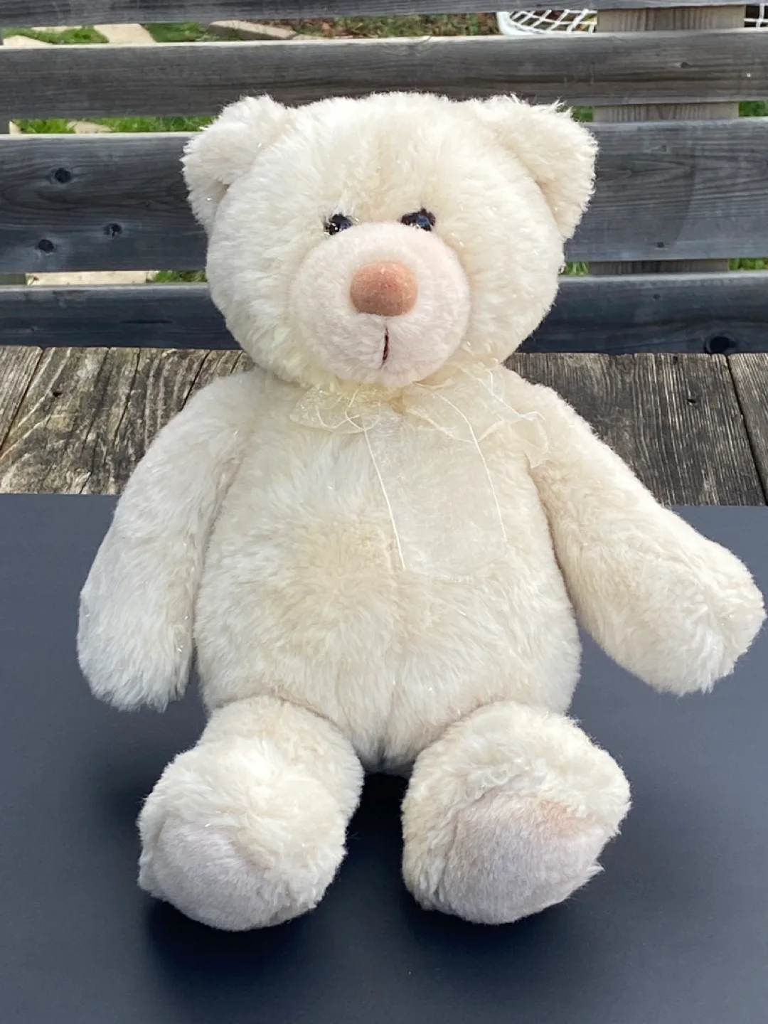 Gund Cream Plush Teddy Bear 🥕 image indicator(2)