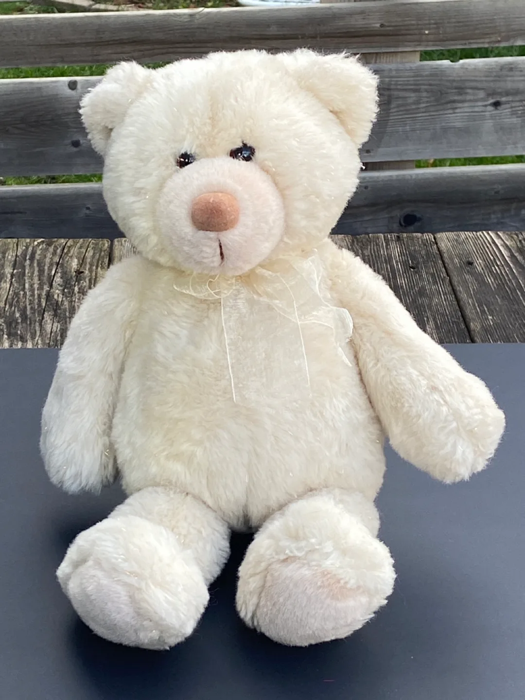 Gund Cream Plush Teddy Bear 🥕 image indicator(6)