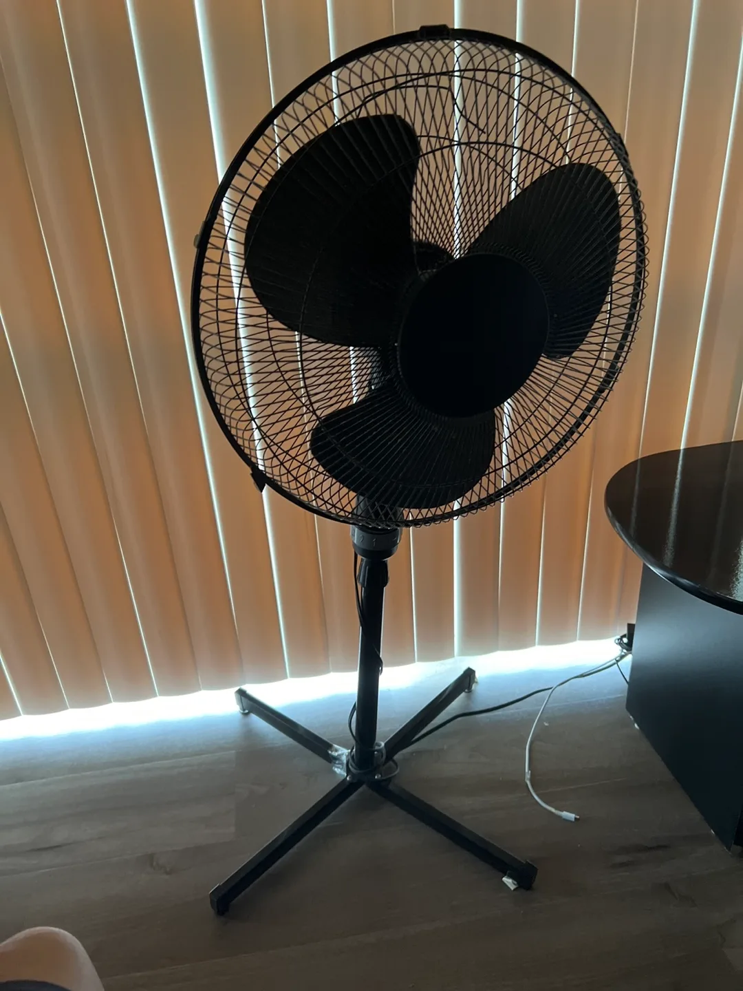 Black Stand Up Fan thumbnail