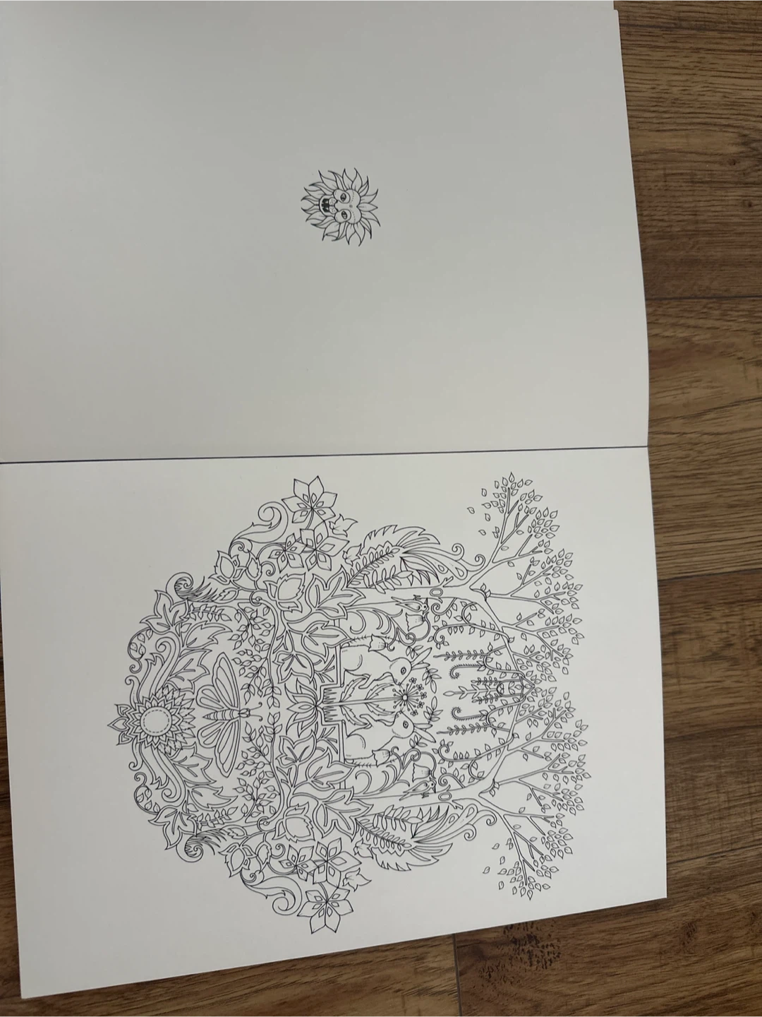 Enchanted Forest Artist's Edition by Johanna Basford - photo 3