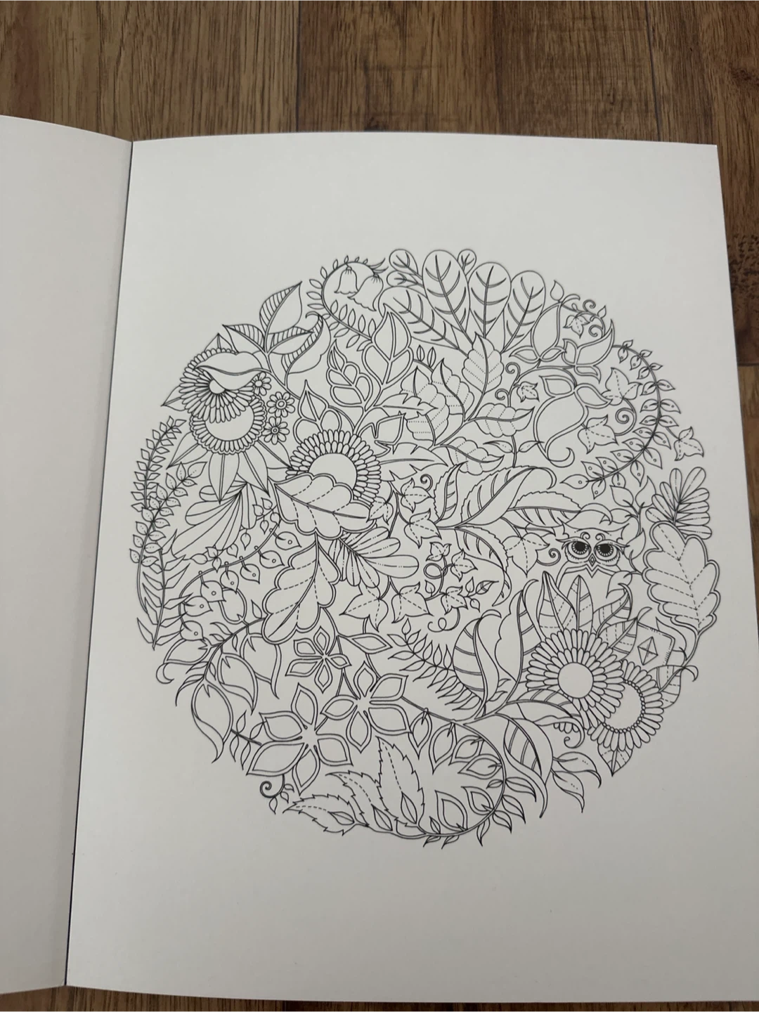 Enchanted Forest Artist's Edition by Johanna Basford - photo 2