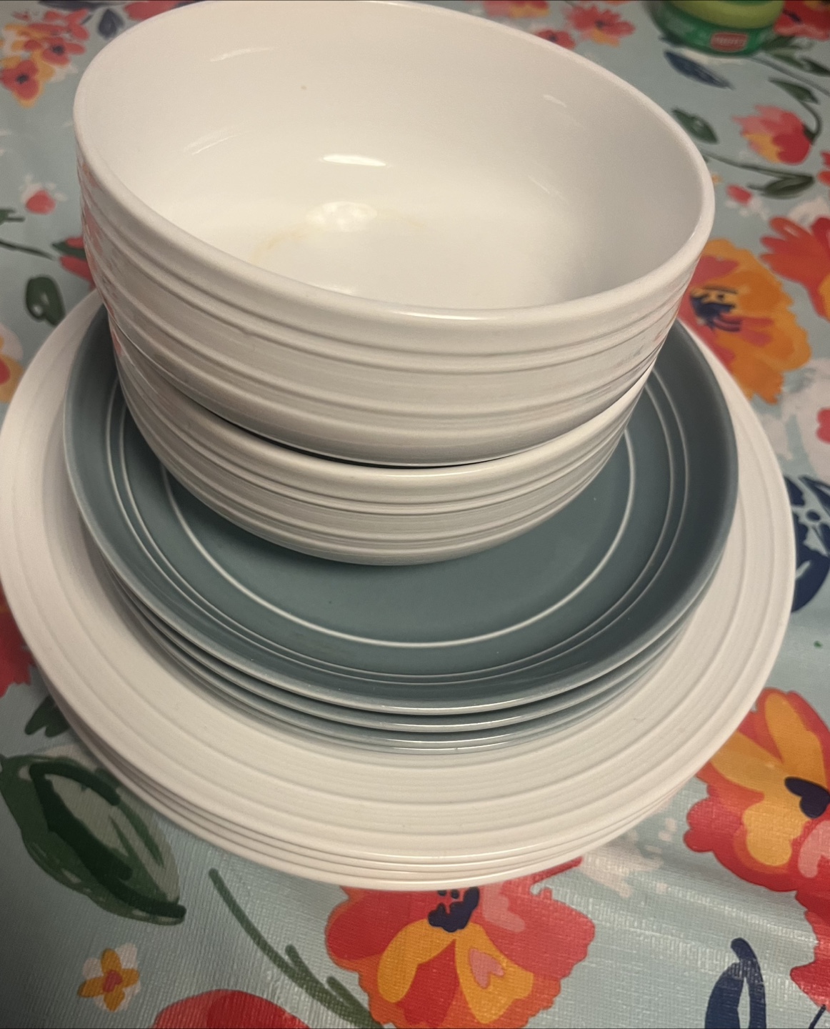 Dishes - White and Blue - photo 2