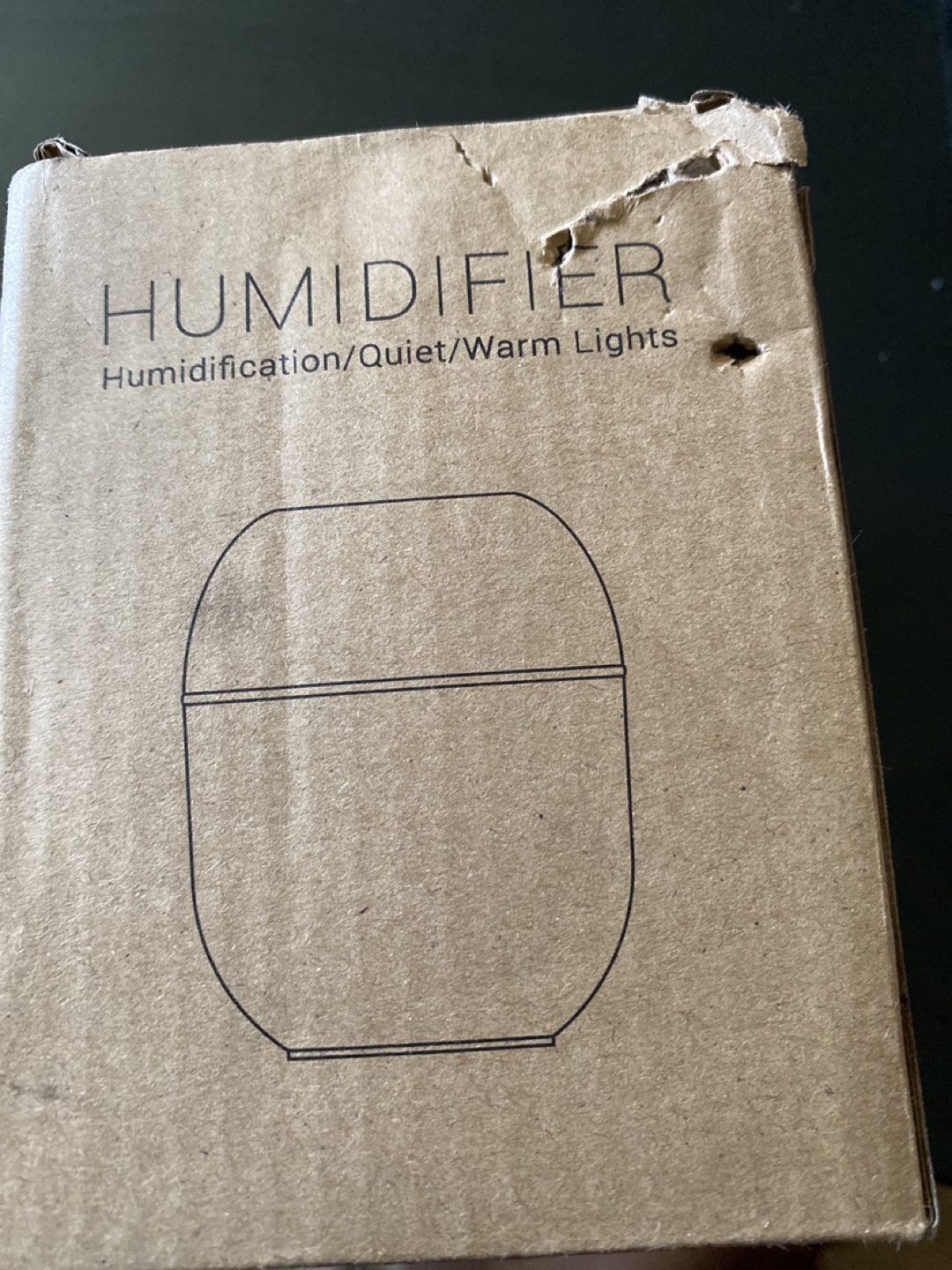 Colorful Egg Humidifier - Glacier White - photo 2