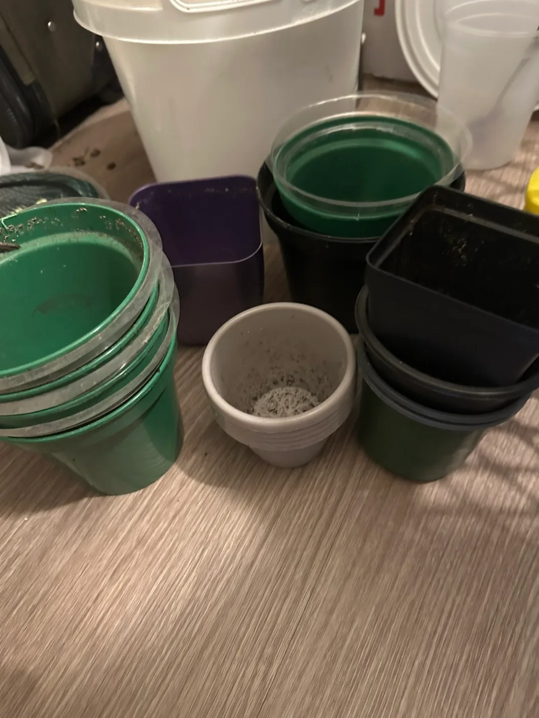 🥕Assorted Used Plant Pots thumbnail