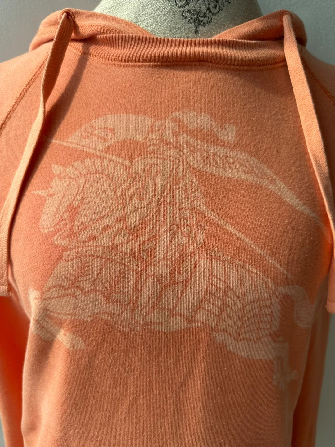 Burberry Hoodie image indicator(4)