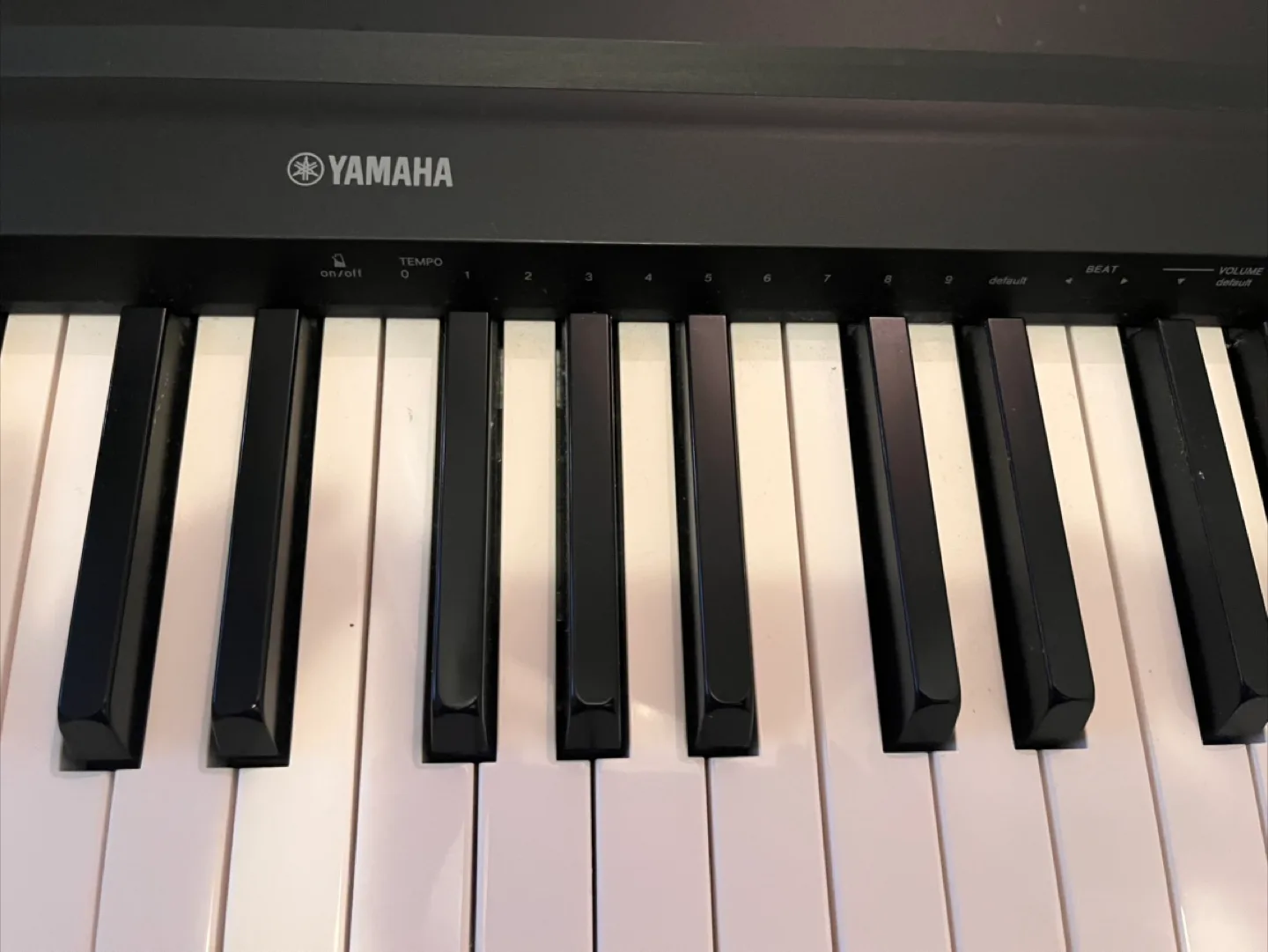 Yamaha P45 88-Note Digital Piano - Black image indicator(2)