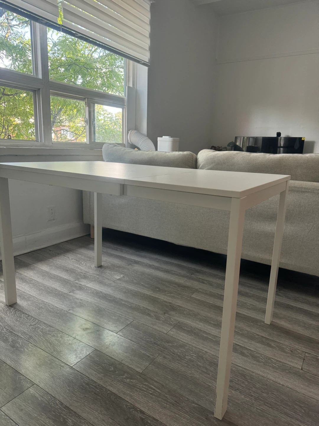 IKEA VANGSTA EXTENDABLE TABLE