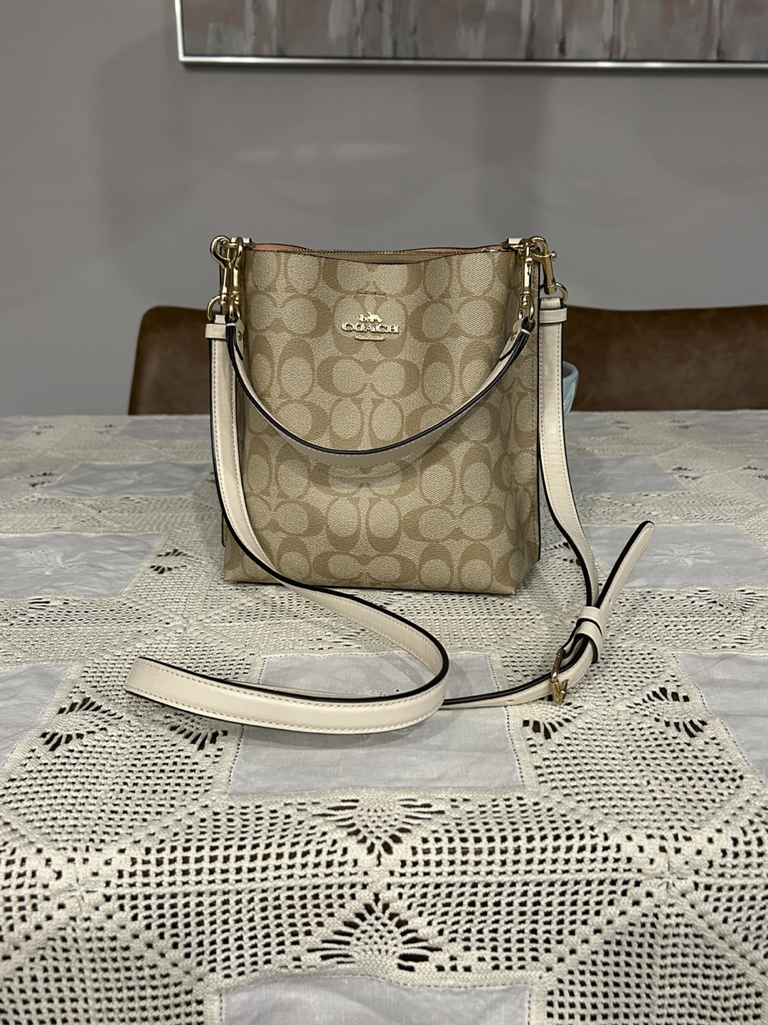 Coach Small Town Bucket Bag