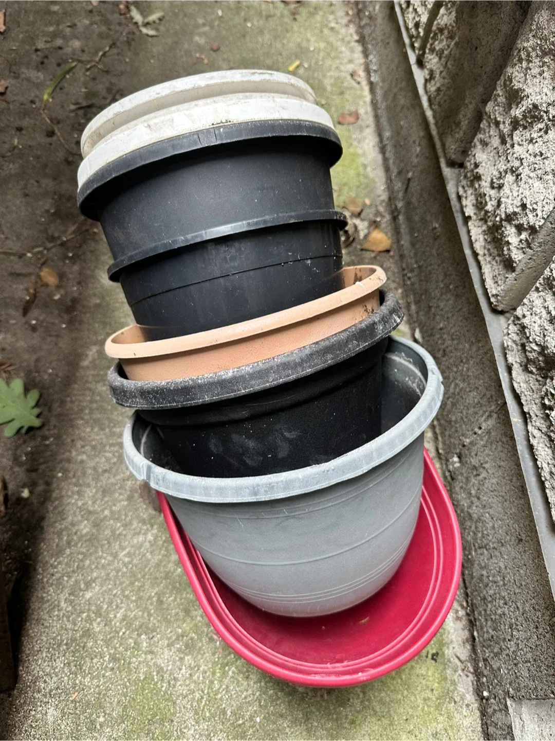 Nursery Plant Pots #freecycle thumbnail