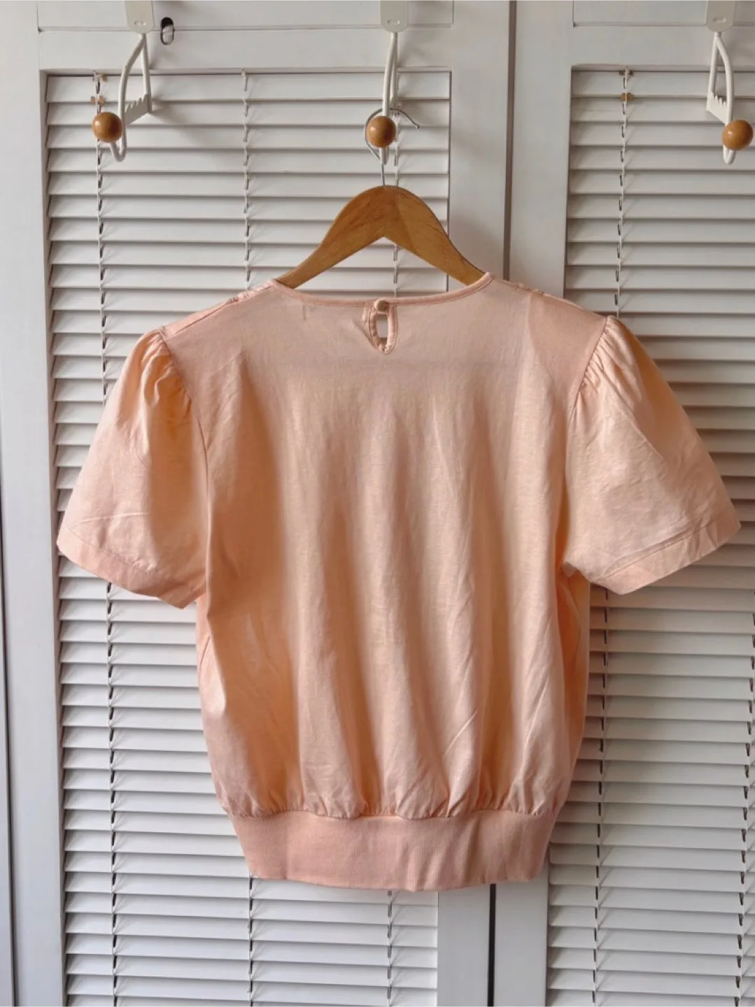 Peach Puff Sleeve Embroidered Top 100% Cotton image indicator(2)