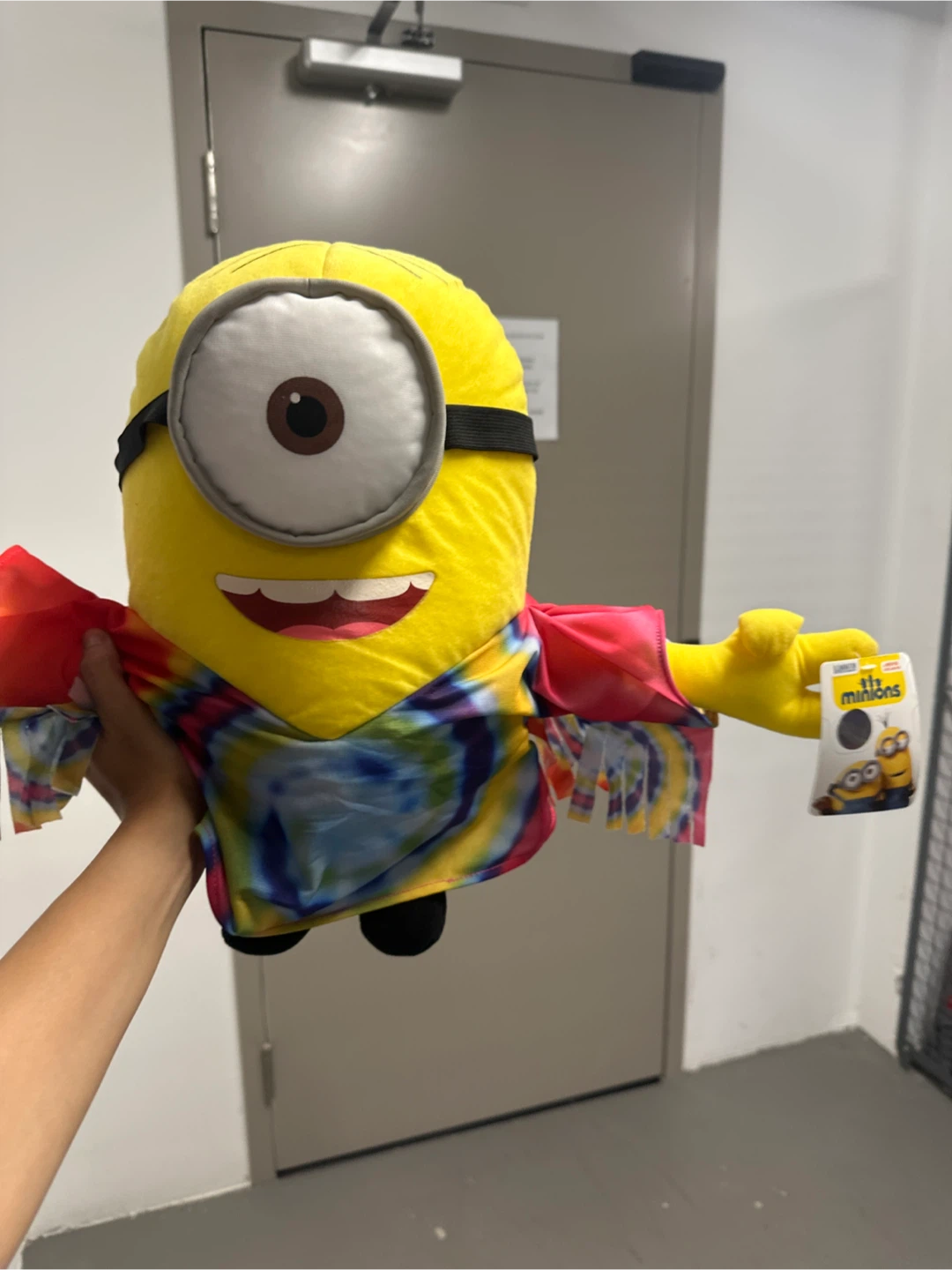 Minions Plush Toy