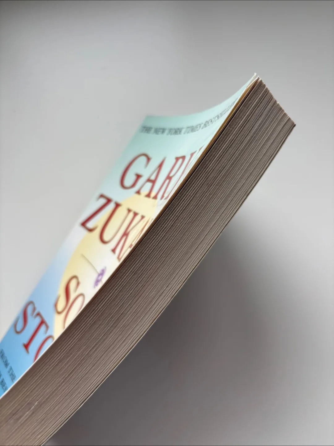 Soul Stories by Gary Zukav image indicator(4)