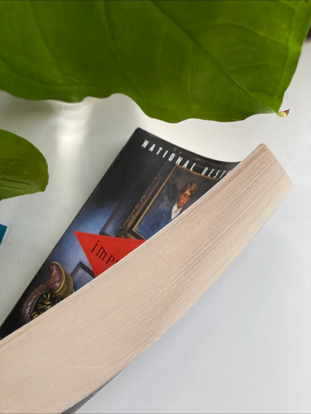 The Impressionist by Hari Kunzru image indicator(6)