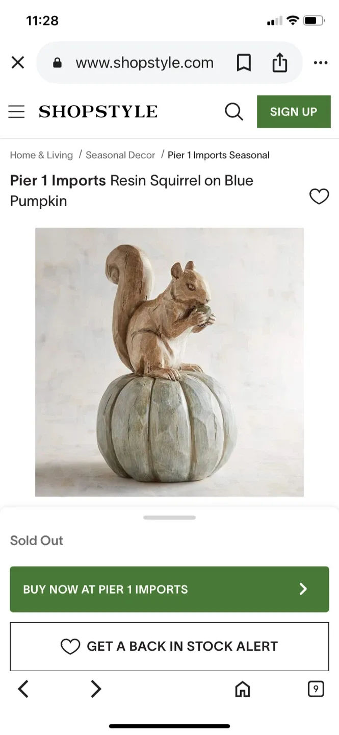 New Squirrel on Pumpkin Fall Decoration image indicator(8)