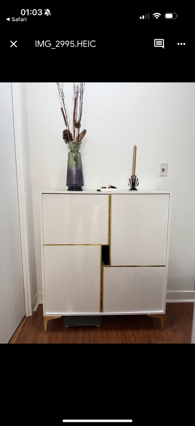 White Cabinet with Gold Trim (Shoe Cabinet) - photo 5